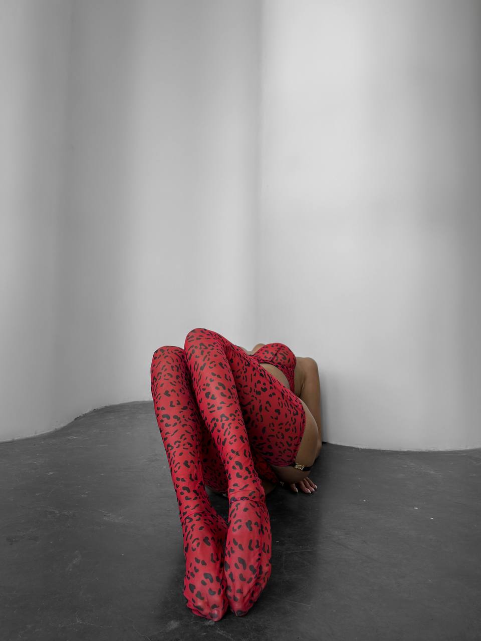 Red Lace Lingerie Set with Garter Belt